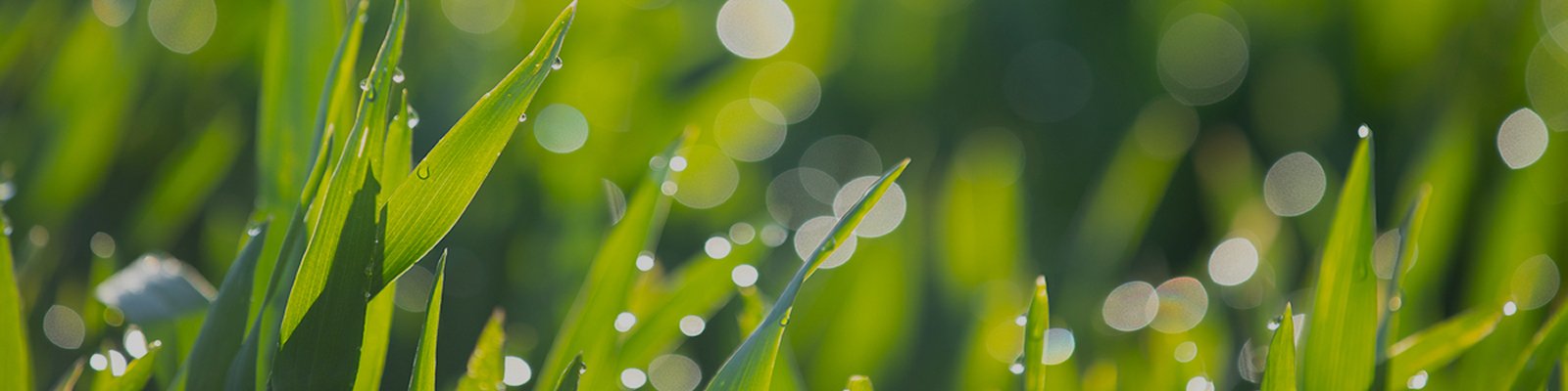 ESG 경영 이미지